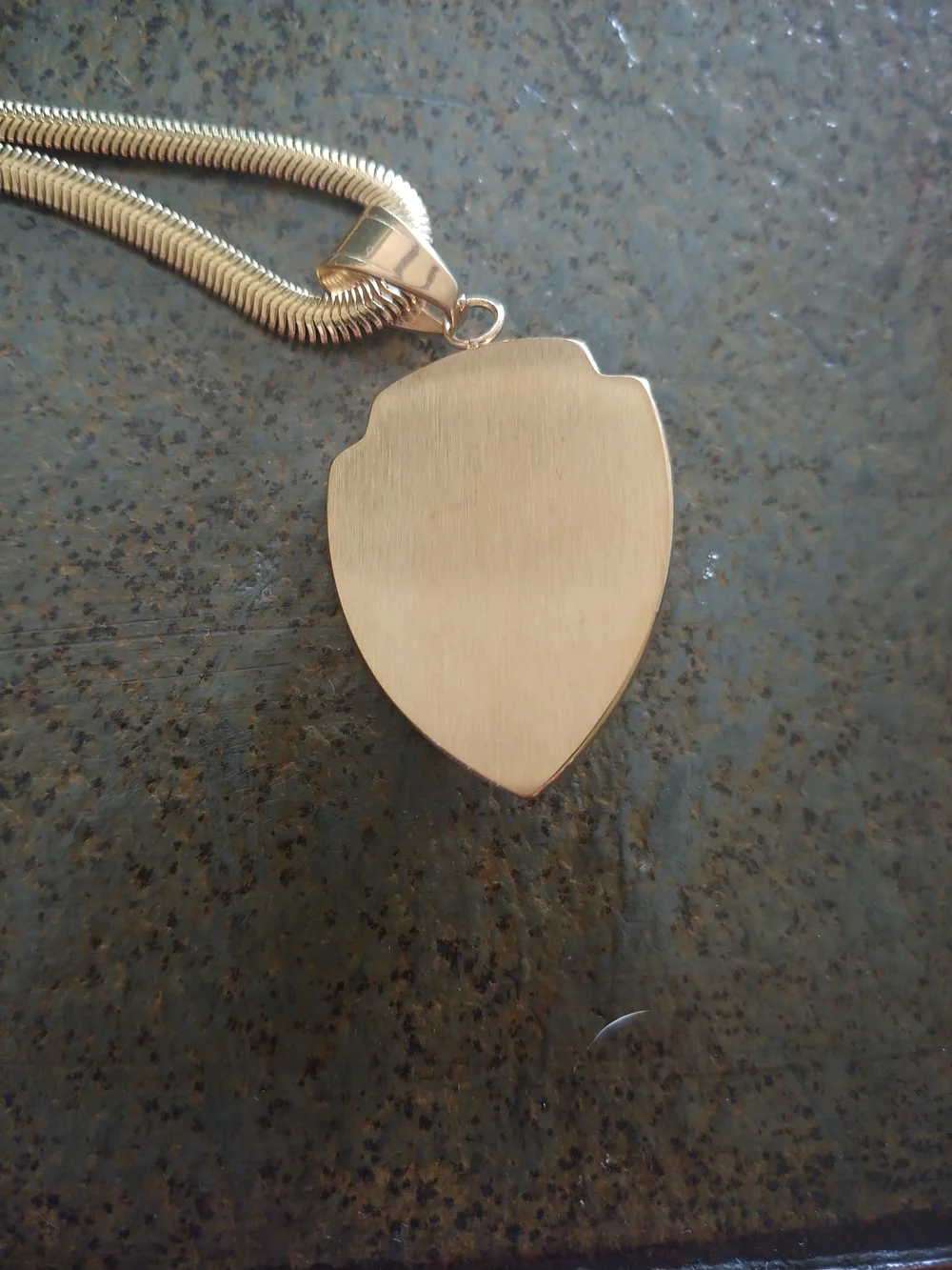 Gold Lion Shield 3D Pendant Necklace - Black Enamel